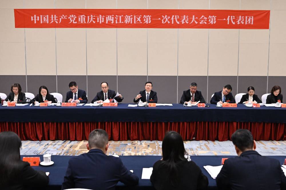 罗蔺参加区第一次党代会第一代表团讨论
